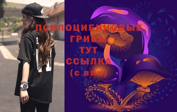 бутират Арсеньев