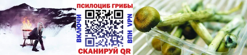 Псилоцибиновые грибы мухоморы  Верхнеуральск 